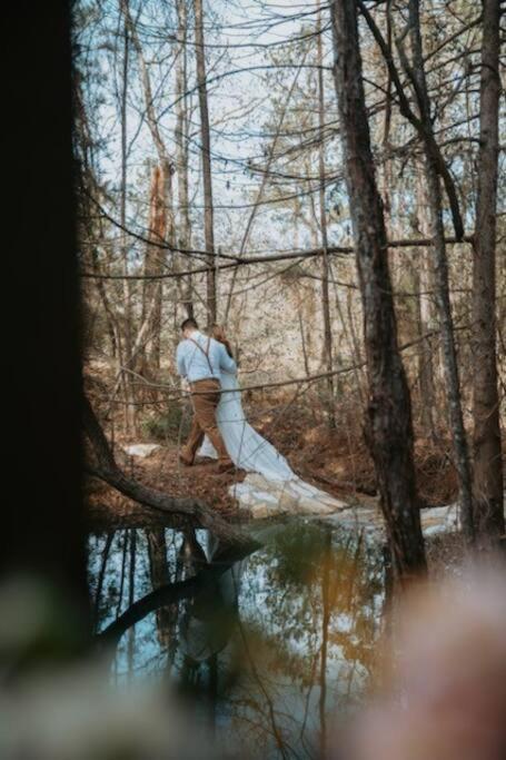 Waterfront Treehouse In A Magical Forest 월러 외부 사진